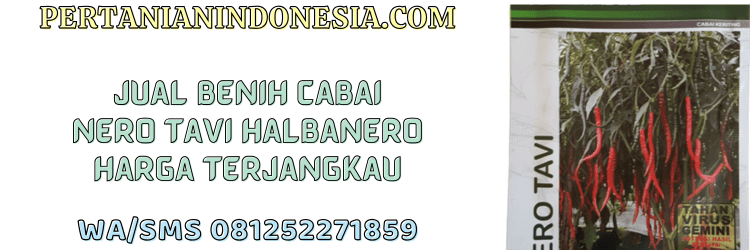 jual,murah,terjangkau,toko pertanian terdekat,pertanian indonesia